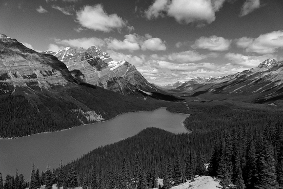 Peyto Lake