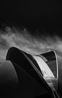 Spine