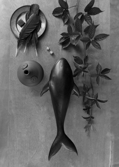 Crow feathers and whale