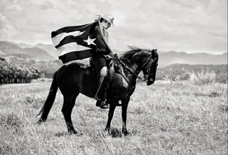 Puerto Rico, Paso Finos Endengered