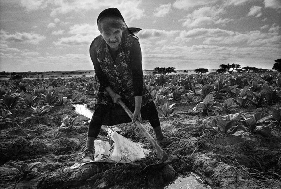 Female agricultural laborer #1