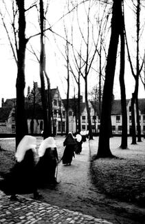 Beguinage Bruge Beguinage Bruge
