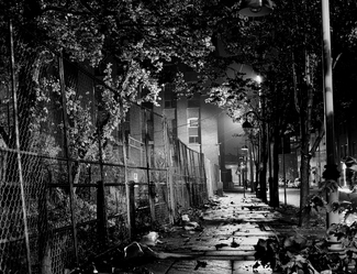 Balmy, 2003 Balmy, 2003