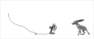 Dog Walking Against the Wind Dog Walking Against the Wind