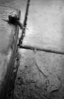 Goodbye Cruel World Goodbye Cruel World