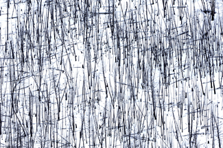 After the Fires After the Fires