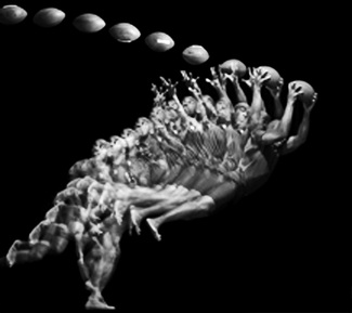 Motion Study_1038 Tiki Barber Motion Study_1038 Tiki Barber