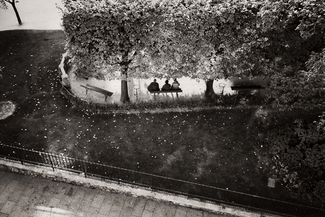 men on park bench from window-paris