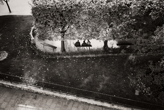men on park bench from window-paris men on park bench from window-paris