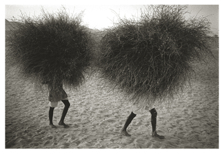 Grass Carriers, Pushkar camel fair. Pushkar, India. Grass Carriers, Pushkar camel fair. Pushkar, India.