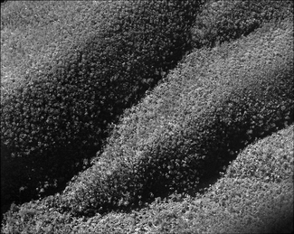 Blue Mountains Aerial Blue Mountains Aerial