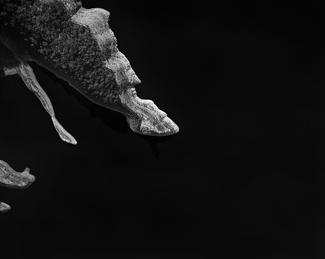 Warragamba Dam 3 Aerial Warragamba Dam 3 Aerial