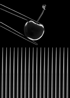 Crown Food & Beverage Calendar 01 Crown Food & Beverage Calendar 01