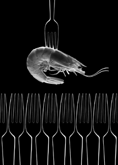 Crown Food & Beverage Calendar 02 Crown Food & Beverage Calendar 02