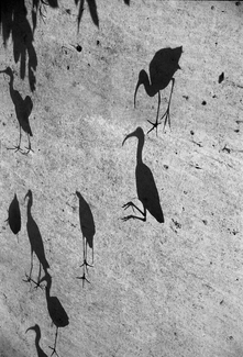Through a canvas roof Through a canvas roof