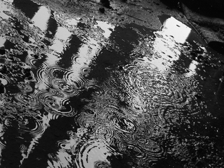 Dancing Undulation Dancing Undulation