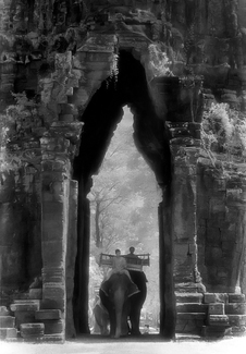 Elephants at the Gate Elephants at the Gate