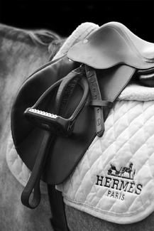 Equestrian Fashion Equestrian Fashion