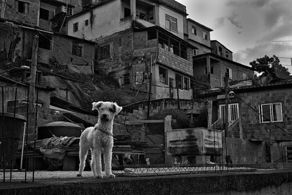 New Life in the Favela