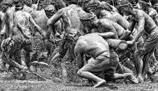 Rice Planting Shinto Ritual Rice Planting Shinto Ritual