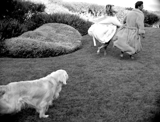 Barefoot Dreams Barefoot Dreams