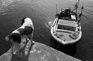 Expectation Expectation