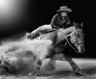 Barrel Run Barrel Run