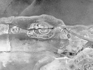 Frozen Fossil Frozen Fossil