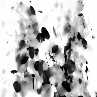 Delirium tremens Delirium tremens