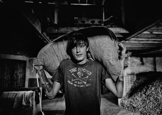 The Hop Picker The Hop Picker