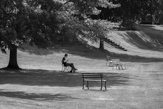Lunching Alone Lunching Alone