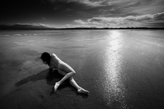 A Roll in the Landscape A Roll in the Landscape