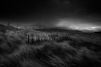 Light Fencing at Dusk Light Fencing at Dusk