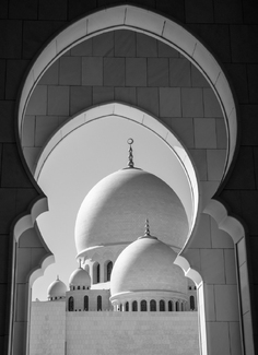 The Universal Code The Universal Code