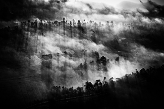 Long Shadows Long Shadows