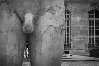 The Thinker The Thinker