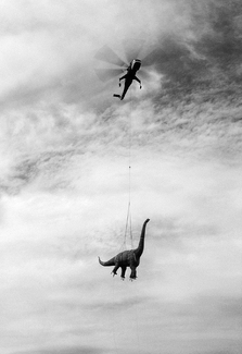 What are the Chances What are the Chances