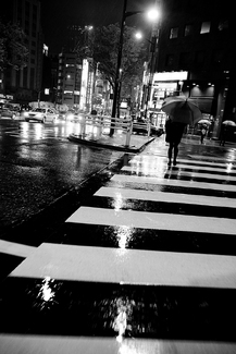 Tokyo Nights Tokyo Nights