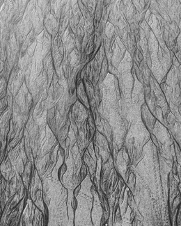 Lines in the Sand 1 Lines in the Sand 1