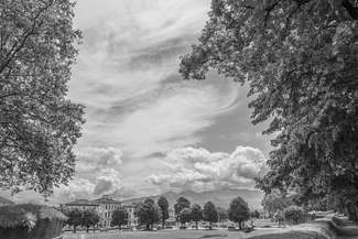 Tuscan Trees and Clouds Tuscan Trees and Clouds