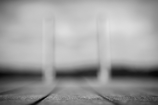 The Last Stand The Last Stand