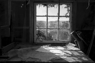 Window View Window View
