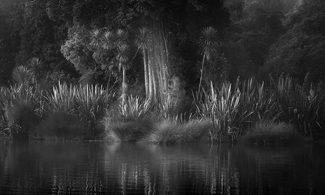 Waters Edge Waters Edge