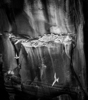 Room with a Veiw Room with a Veiw