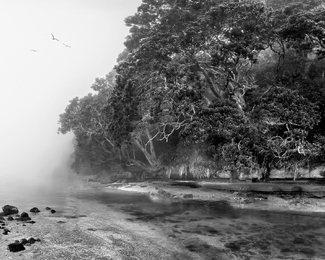 Sea Mist rolling in to the Estuary