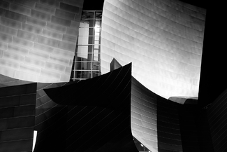 Disney Hall - Detail Disney Hall - Detail