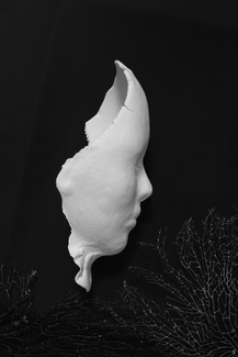 Existential Emptiness Existential Emptiness