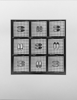 Study of Shoes Study of Shoes