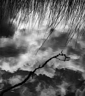 Pond Reflections, County Mayo, Ireland