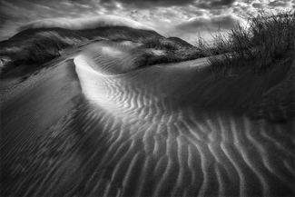 Natures Patterns at Silver Strand Natures Patterns at Silver Strand